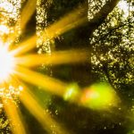 Il Potere del Coach Spirituale: Guida Completa alla Trasformazione Personale